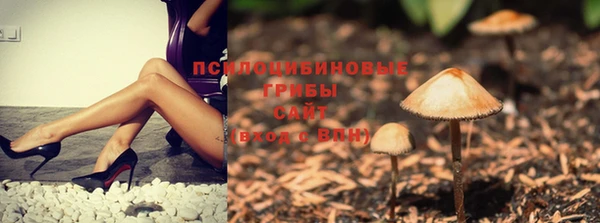 2c-b Кулебаки