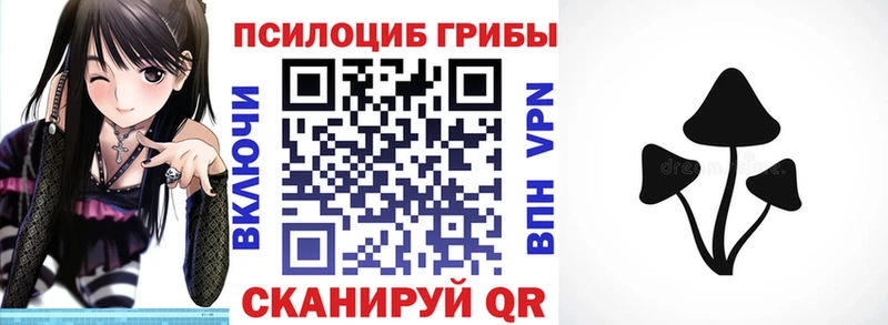 Галлюциногенные грибы Psilocybe Бор