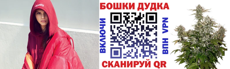 Бошки Шишки планчик  Бор 